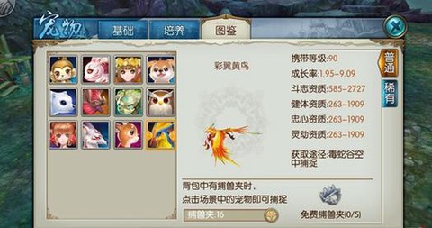 诛仙手游黄鸟怎么抓[图1]