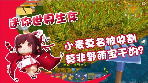 迷你世界小麦长什么样