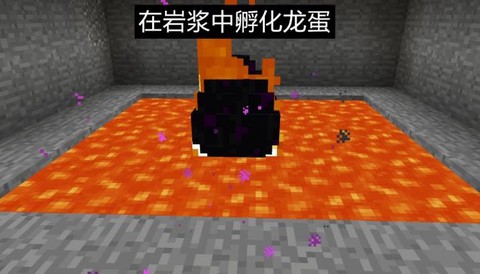 我的世界末影龙蛋怎么孵