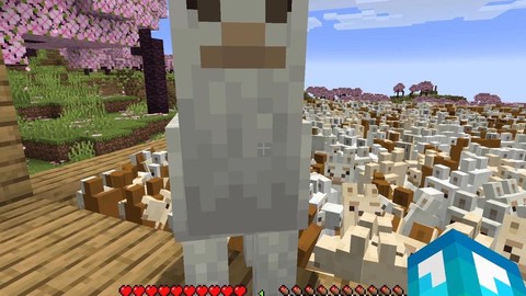 我的世界怎么骑羊驼