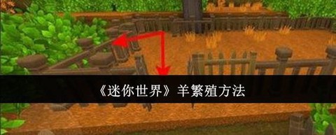 迷你世界怎么圈养羊[图2]