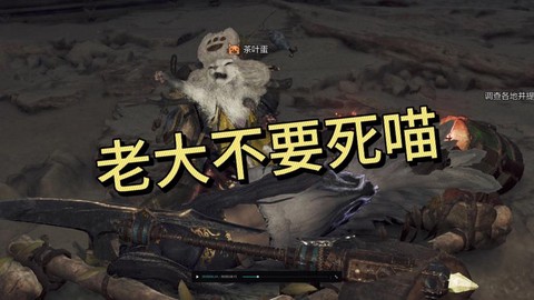 怪物猎人x怎么给猫[图2]