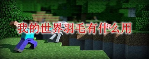 我的世界羽毛有什么用[图1]