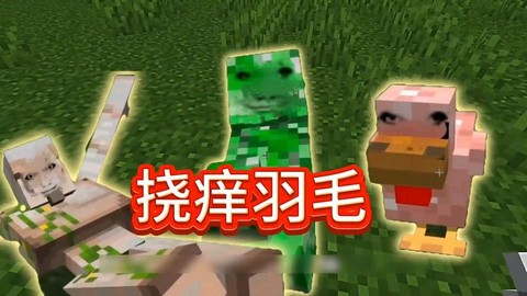 我的世界羽毛有什么用[图2]